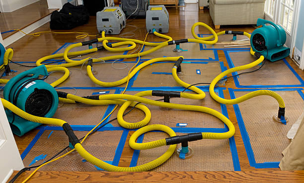 Professional Basement Flood Cleanup technician working in Delmar, NY